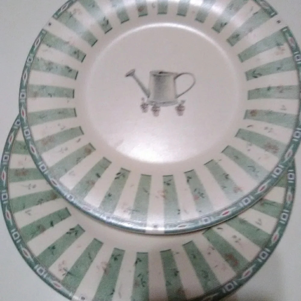 Pfaltzgraff  Plate.